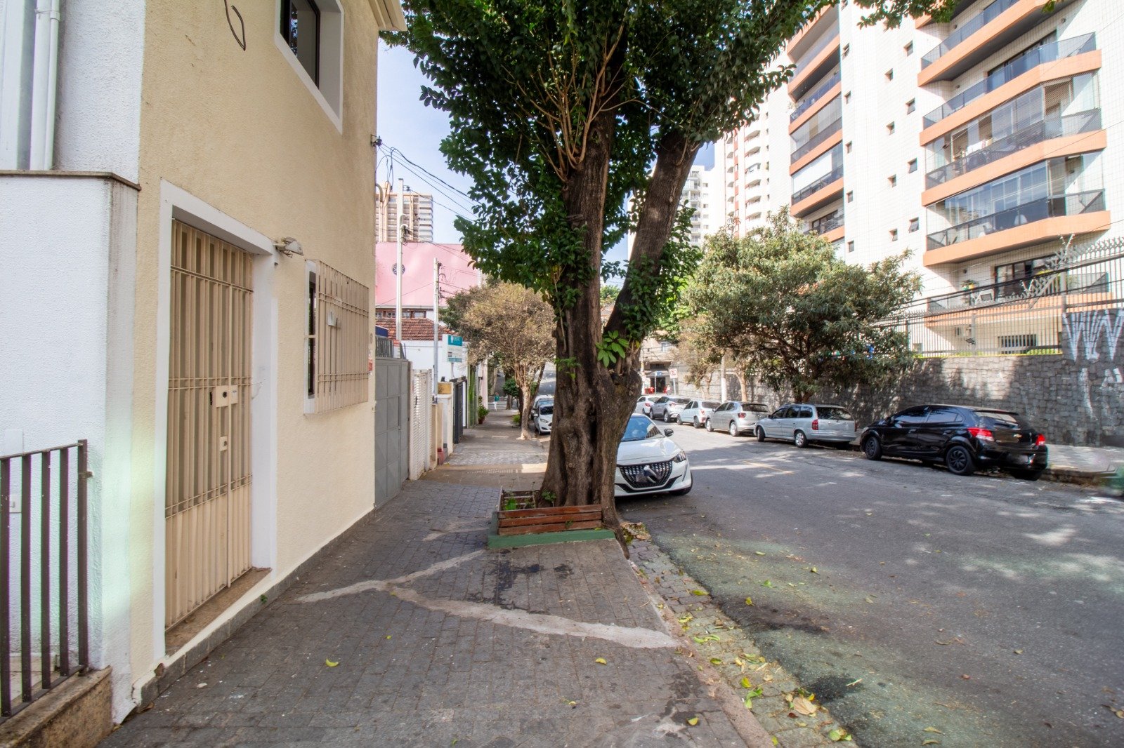 Foto 15