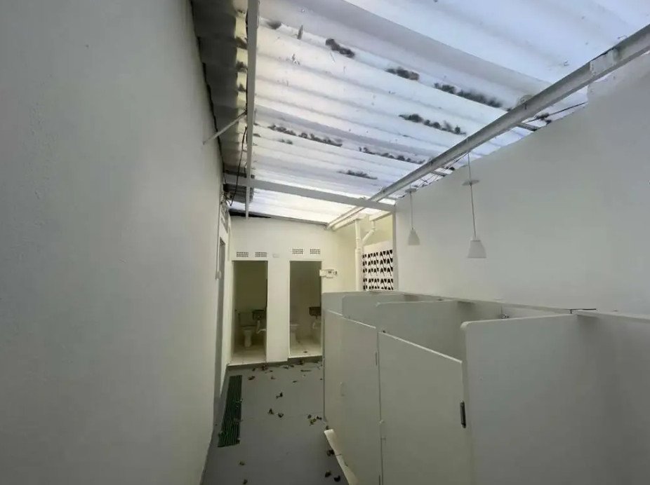 Foto 14