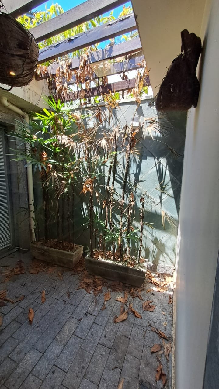 Foto 32