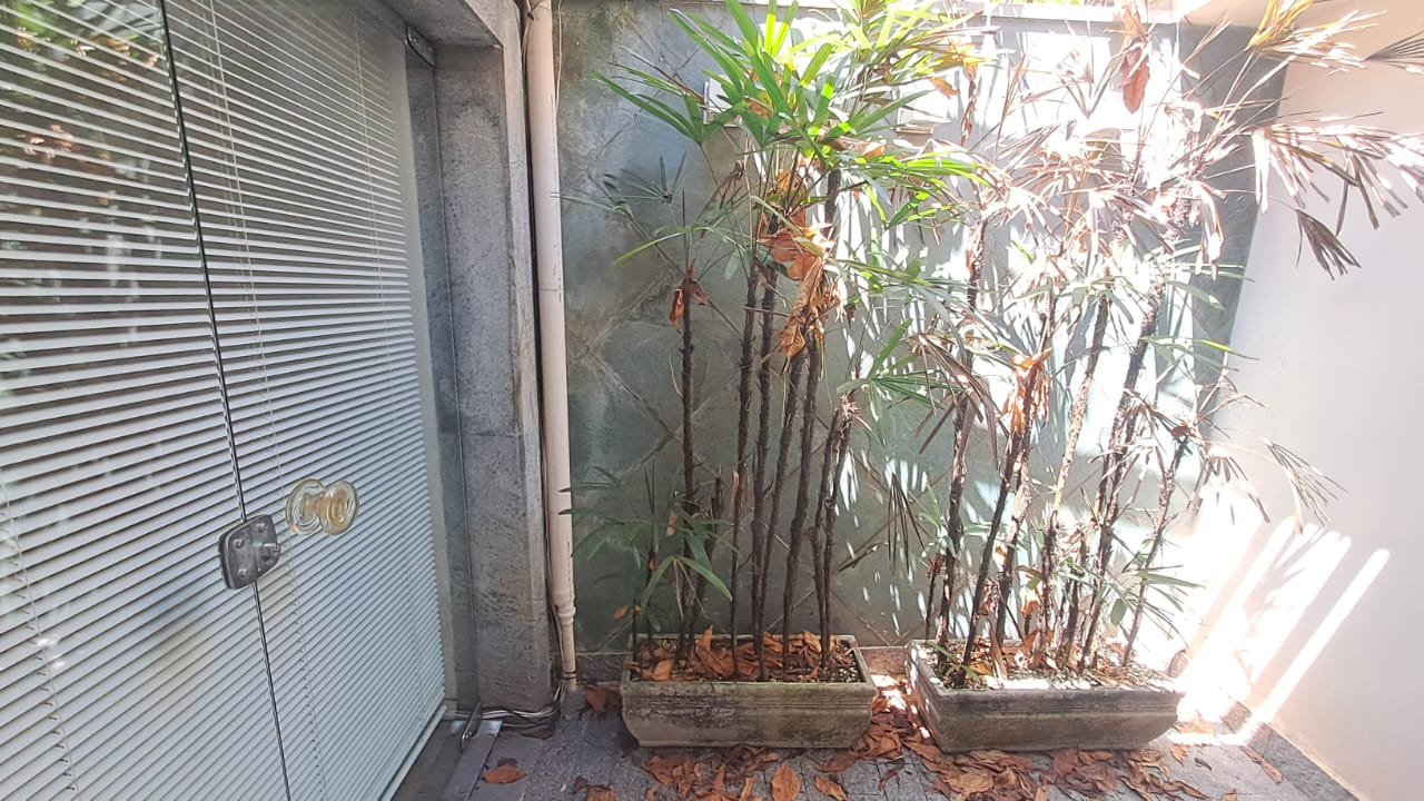 Foto 26