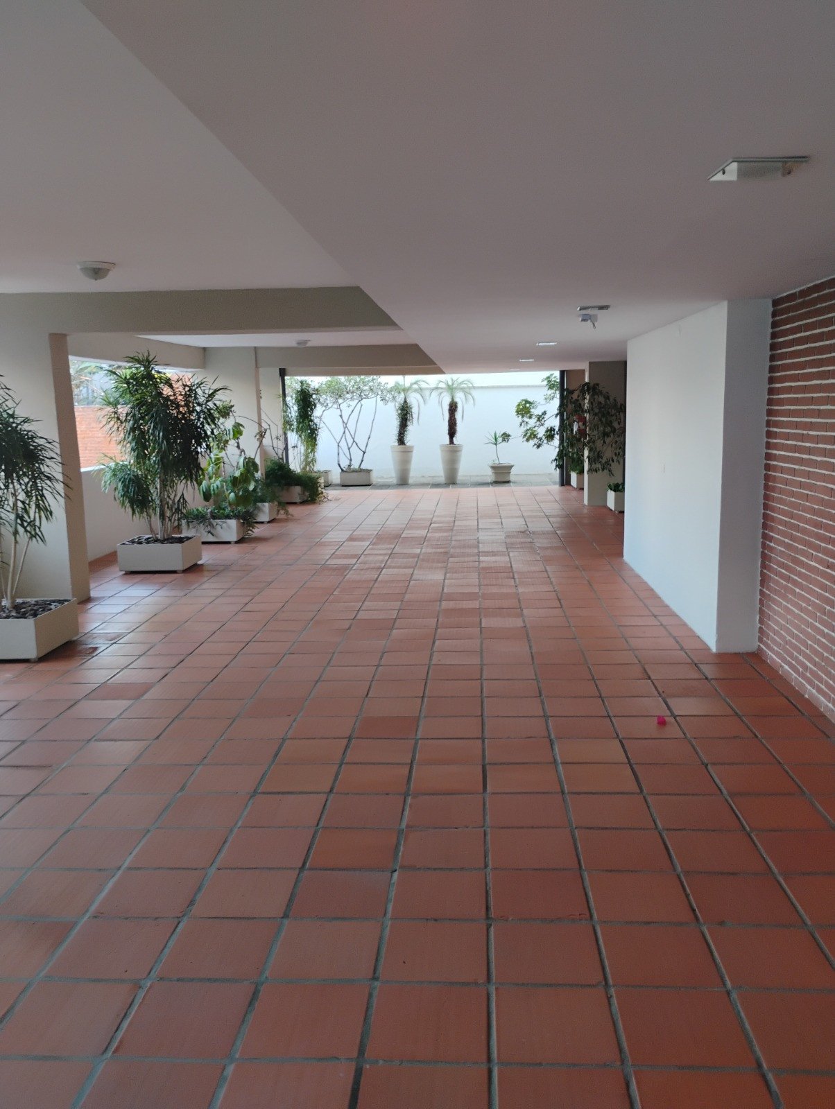 Foto 42