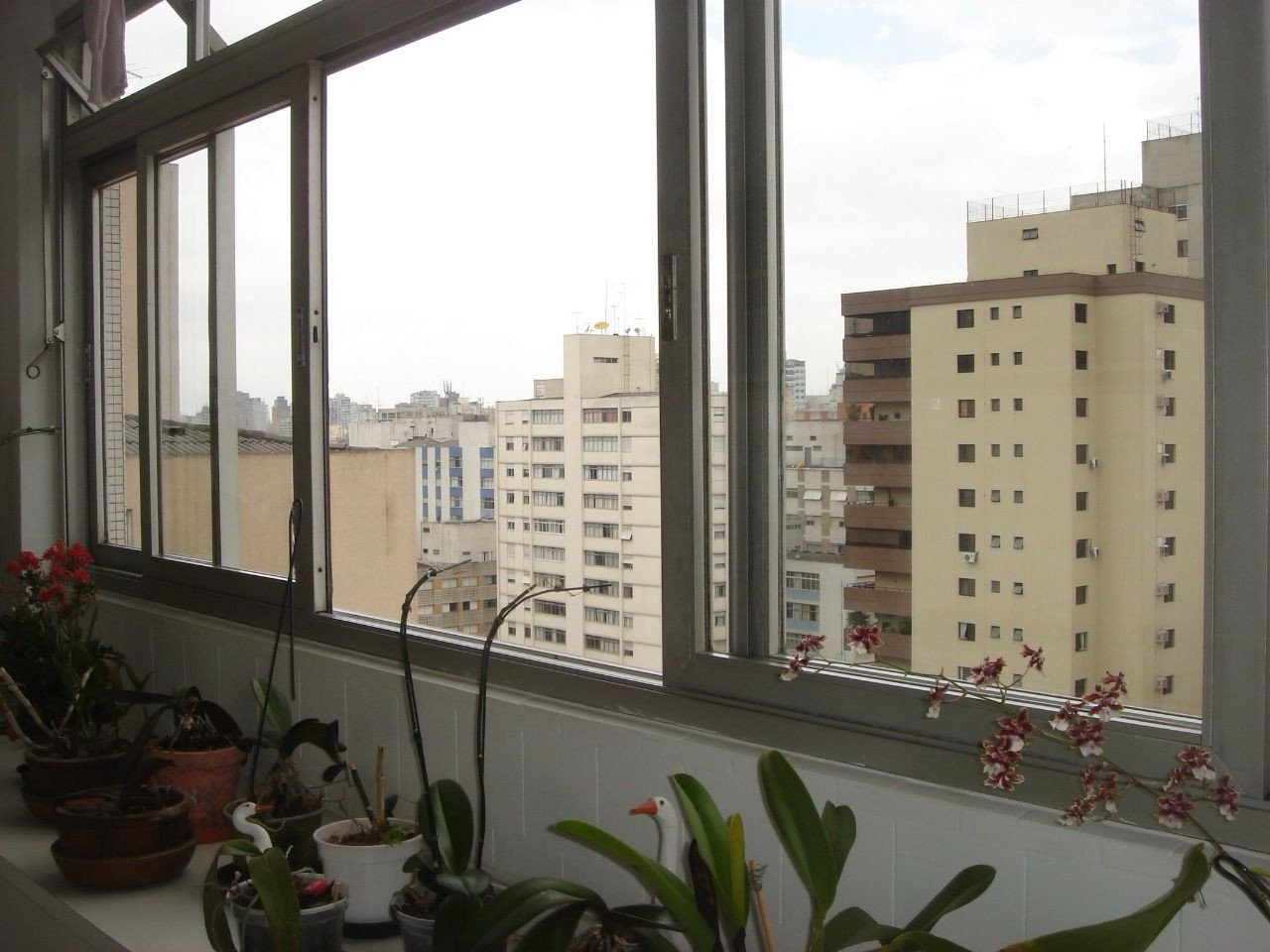 Foto 11