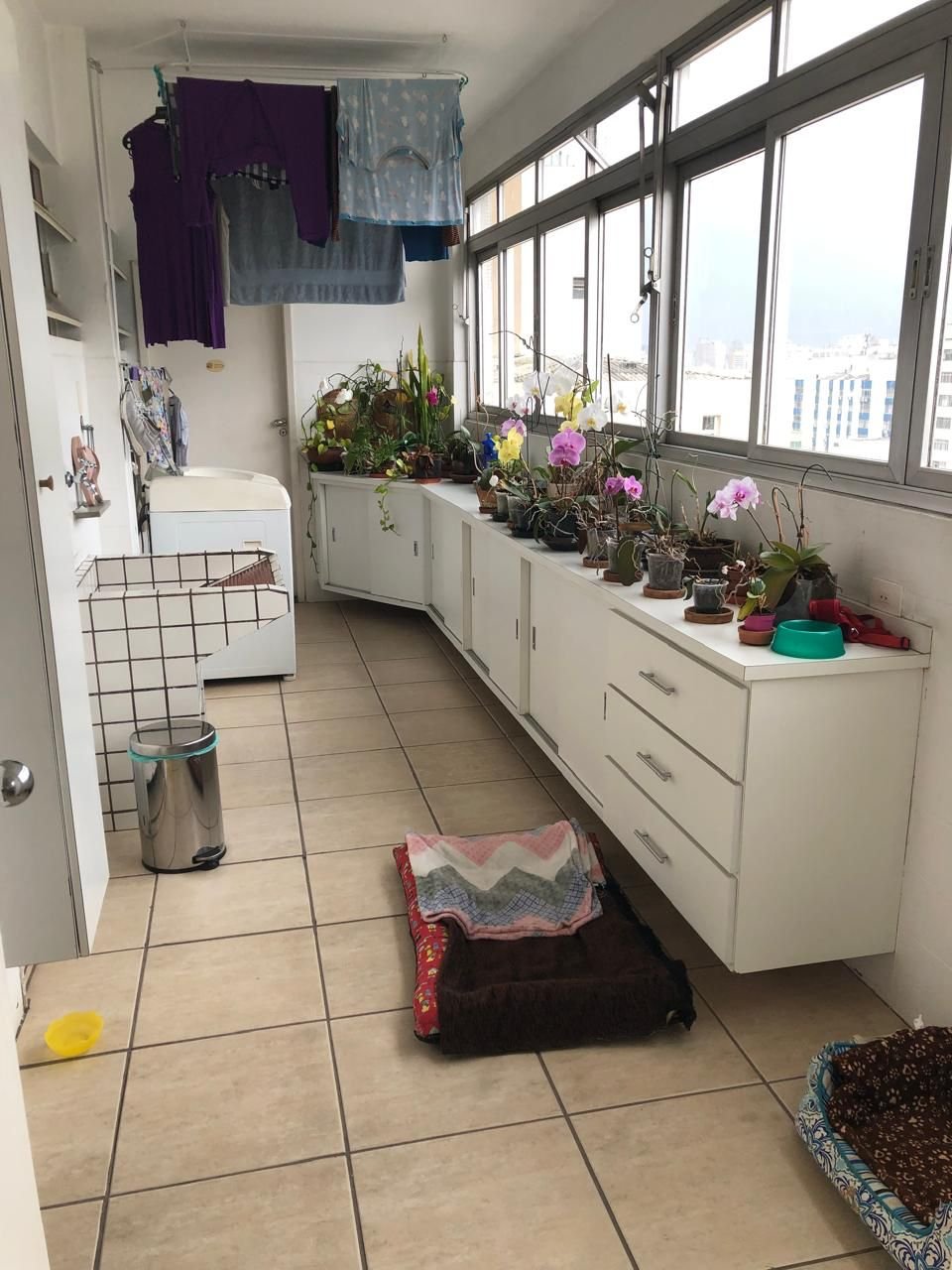 Foto 42
