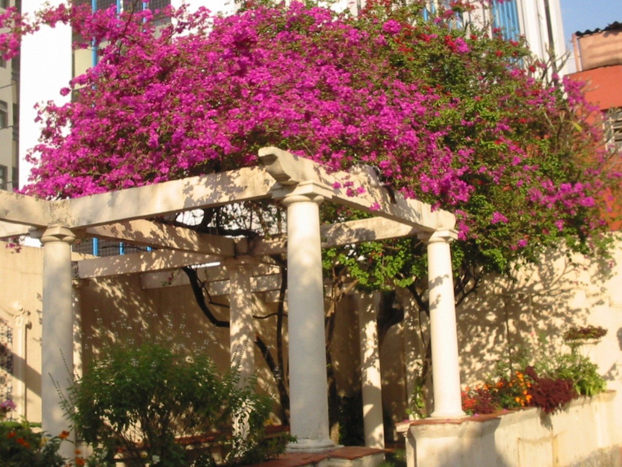 Foto 4