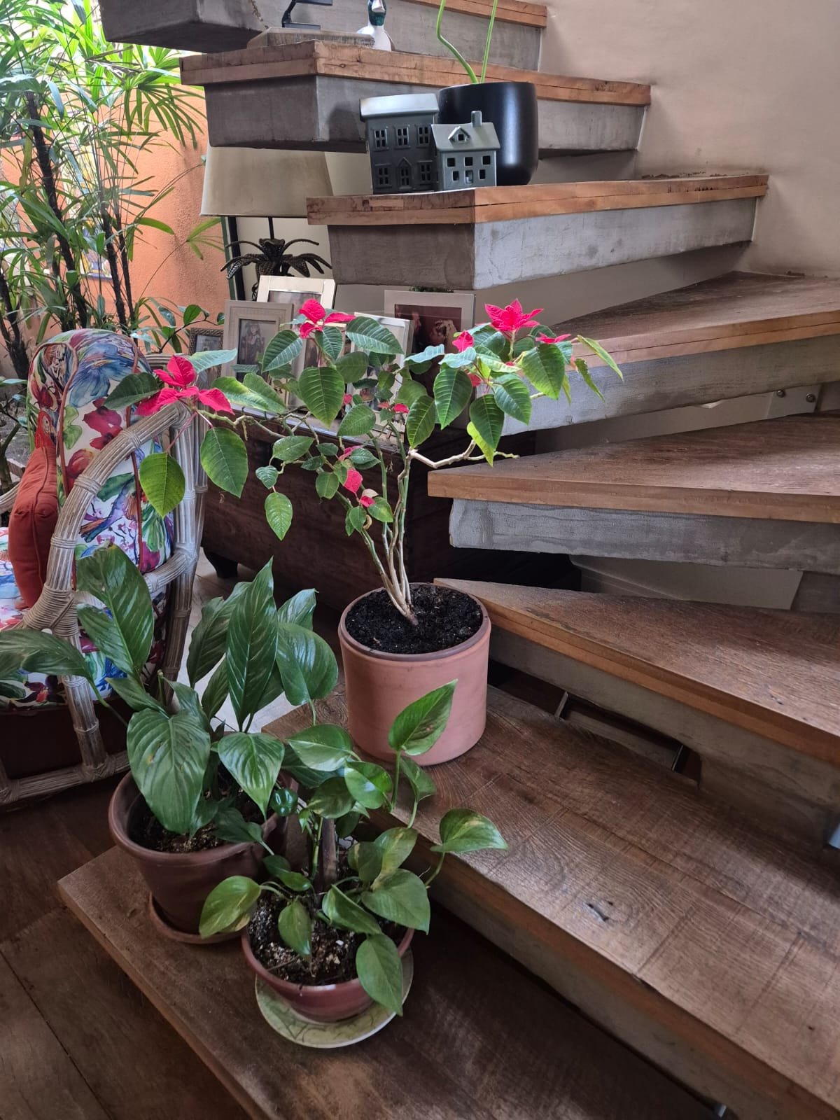 Foto 16