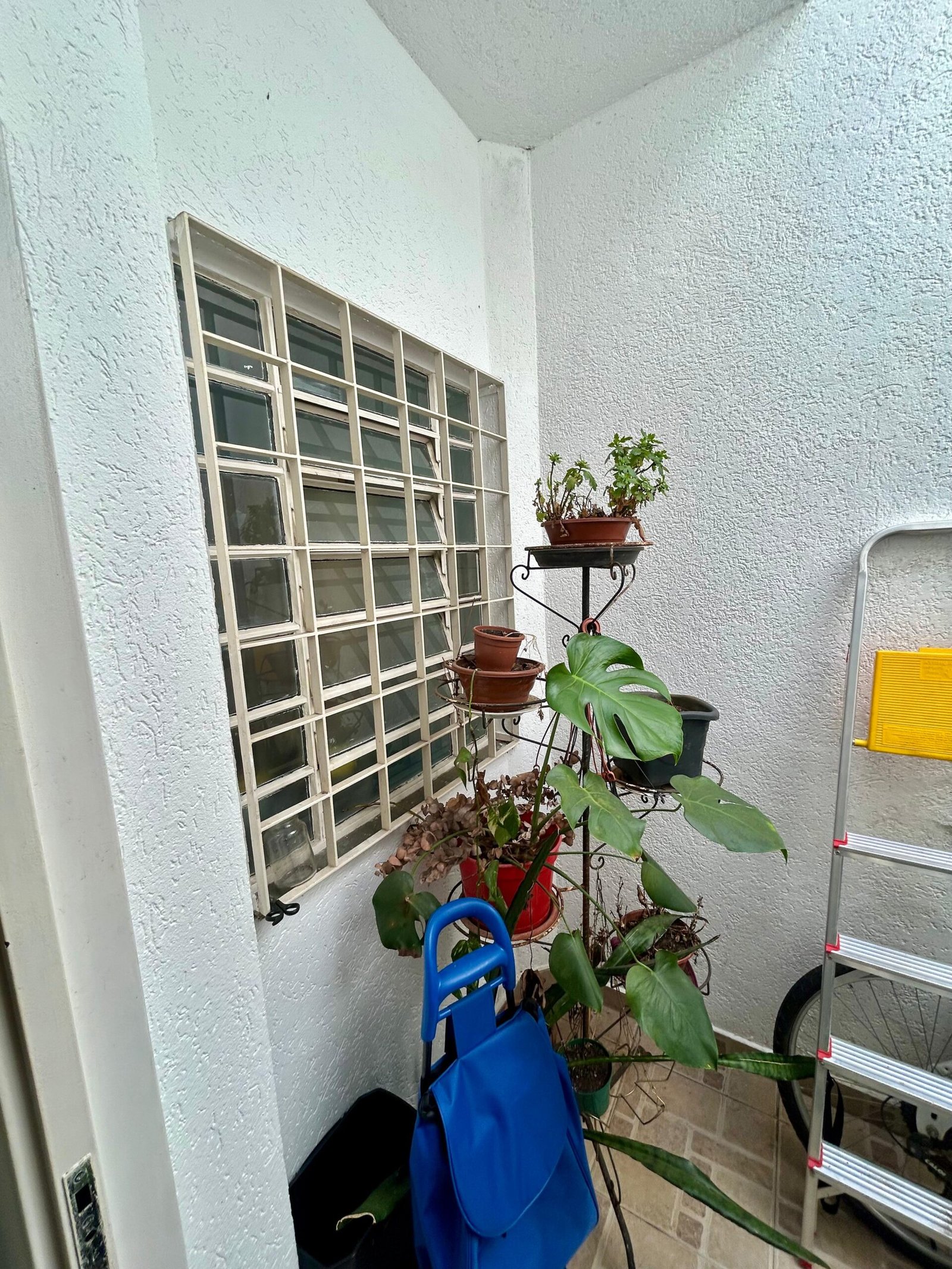 casa com 2 quarto(s) com 1 vaga(s) - POMPEIA, São Paulo / SP - Foto 3