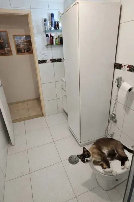apartamento com 2 quarto(s) com 1 vaga(s) com 3 banheiro(s) - PINHEIROS, São Paulo / SP