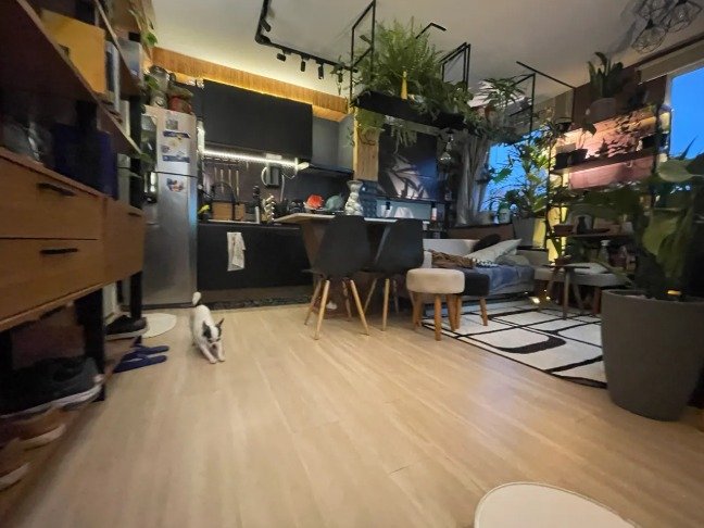 Foto 4