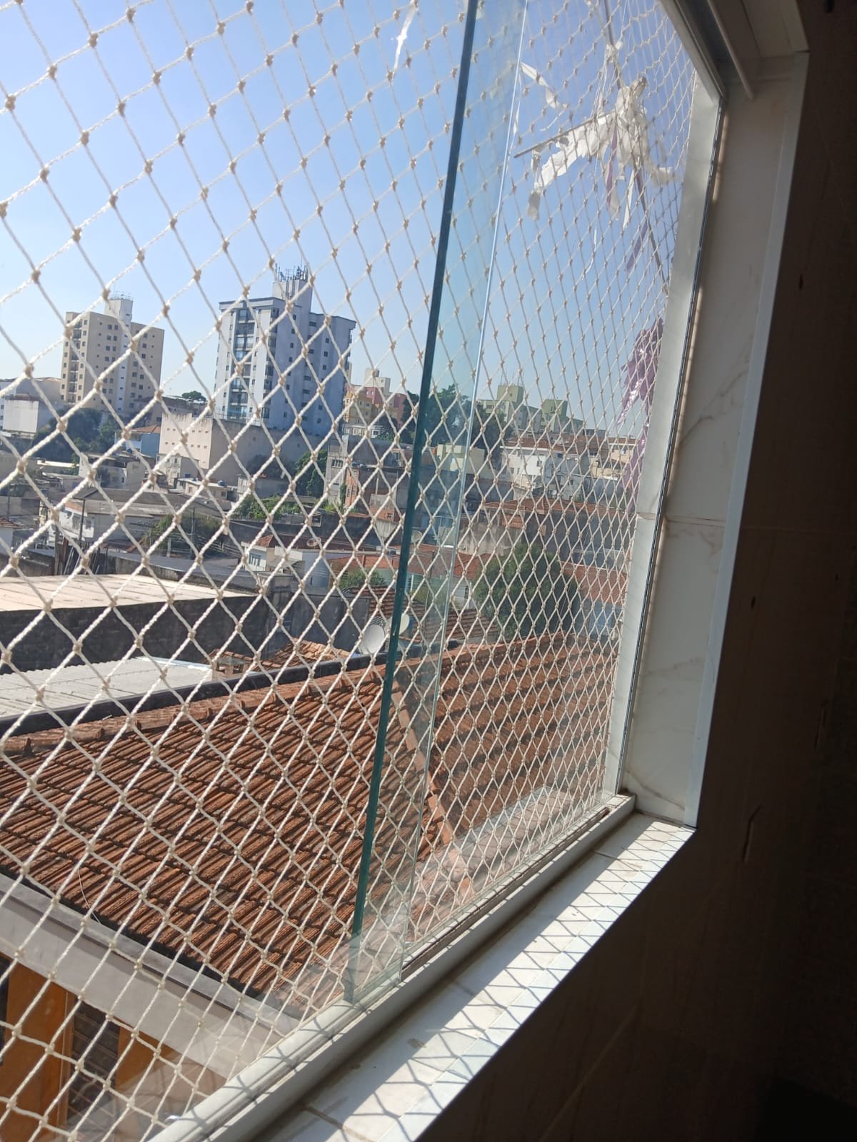 Foto 50
