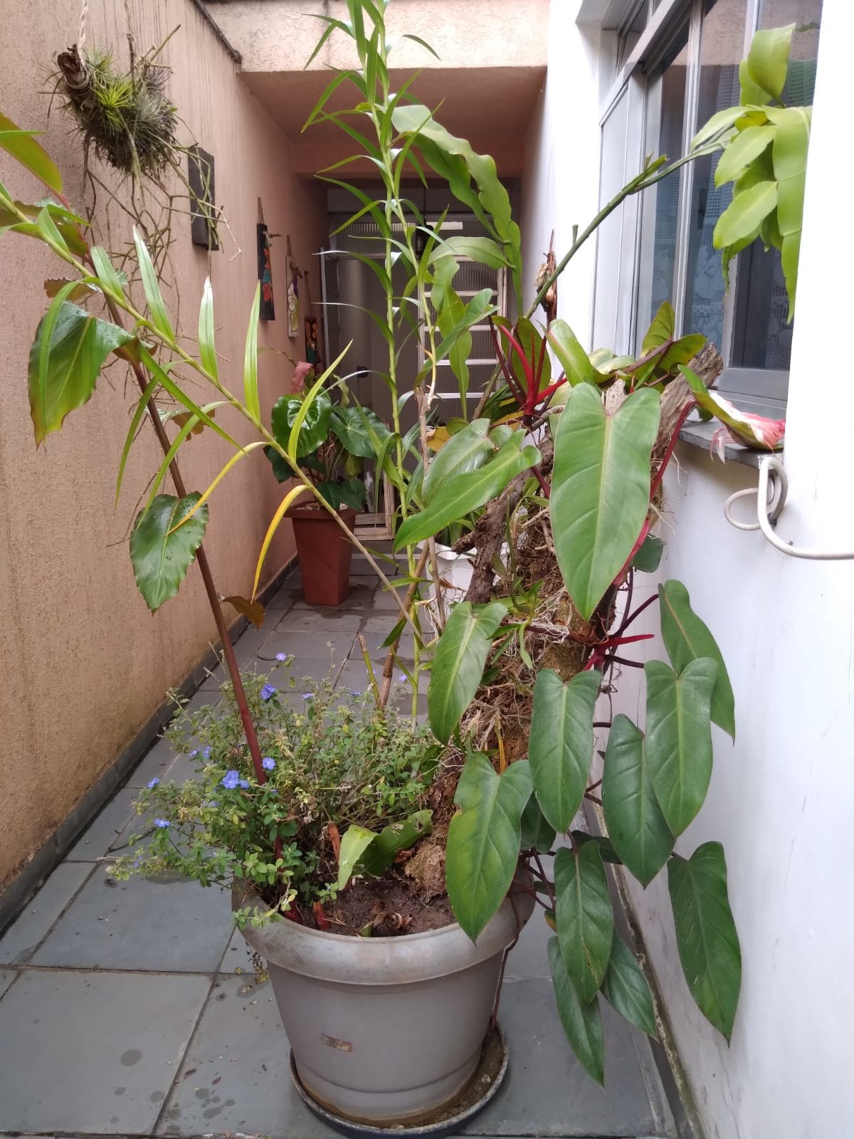 Foto 41