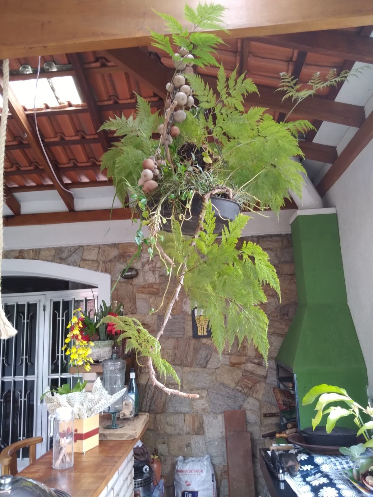 Foto 43