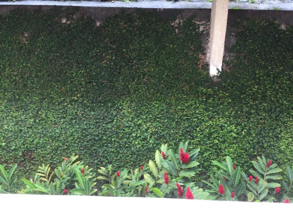 Foto 17