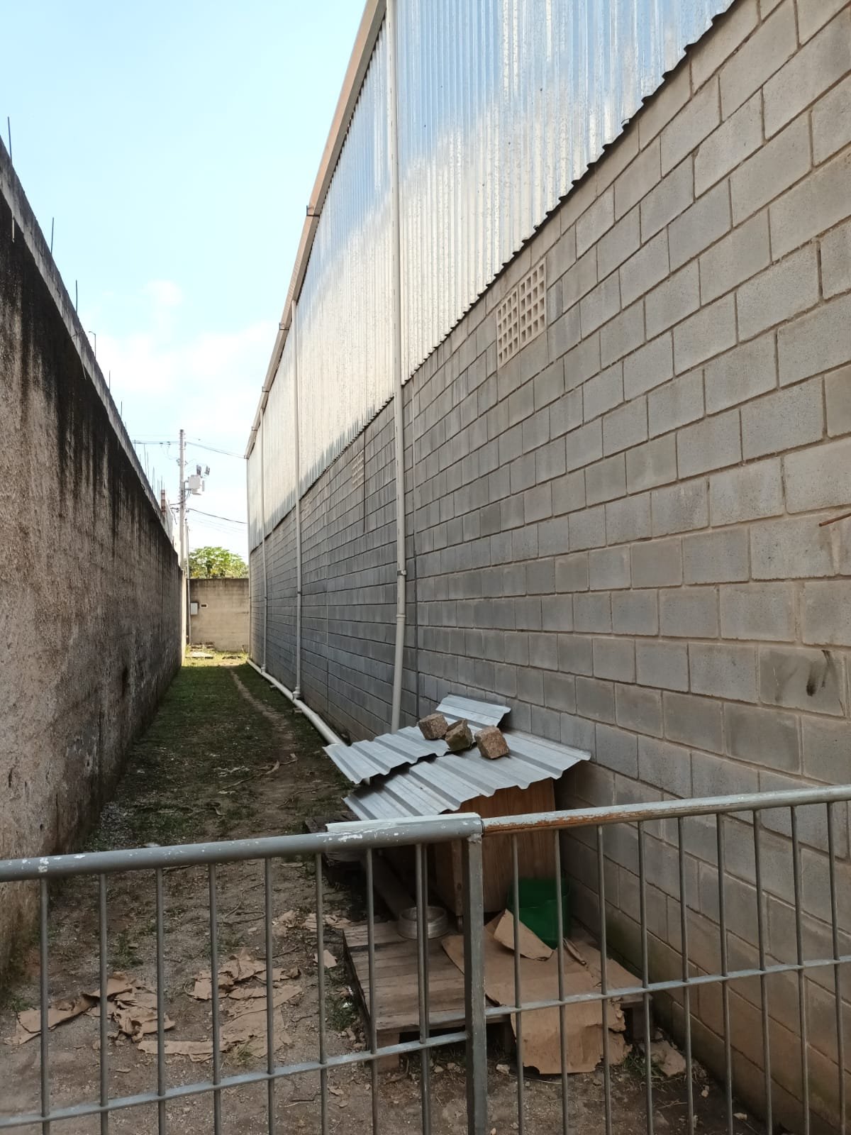 Foto 52