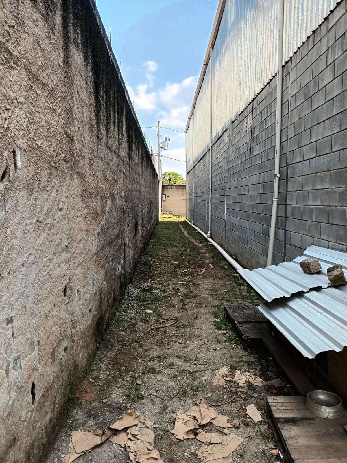 Foto 48