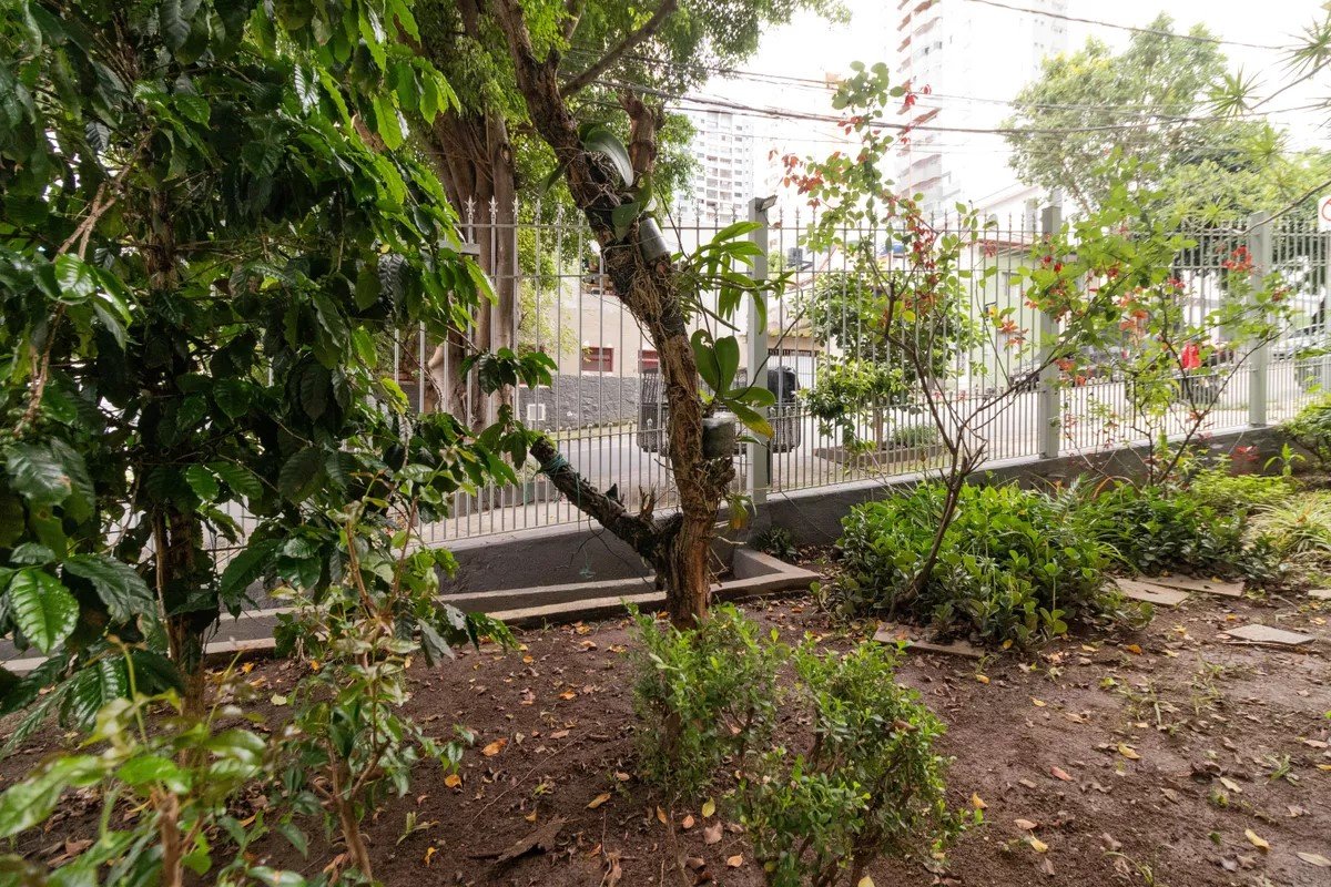 Foto 32