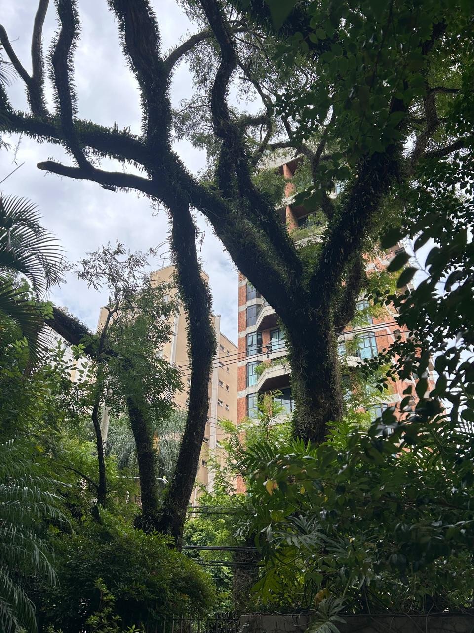 Foto 8